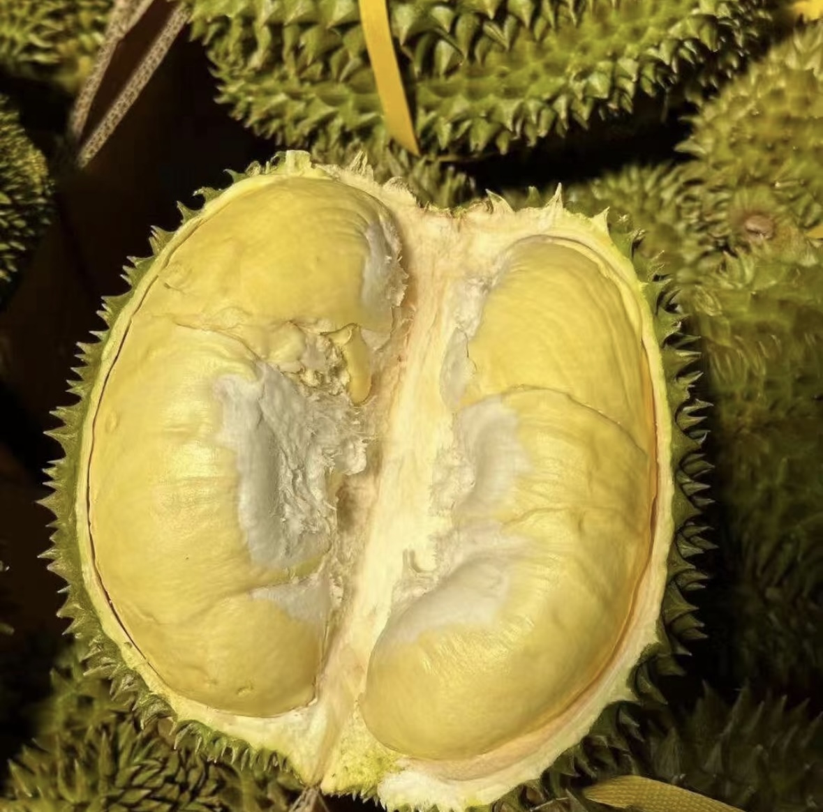 【软糯香甜】泰国金枕榴莲一个约4-5斤（包质量包售后）